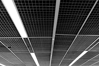 Новости, фото №12