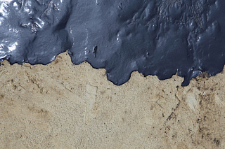 Новости, фото №12