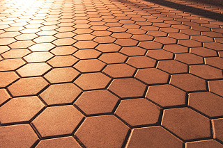 Новости, фото №12