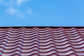 Новости, фото №11