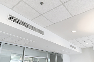 Новости, фото №10