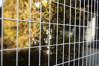 Новости, фото №10