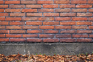 Новости, фото №9