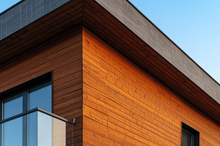 Новости, фото №12