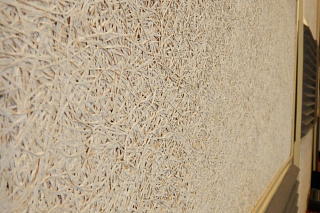 Новости, фото №12