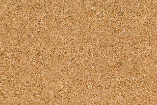 Новости, фото №13