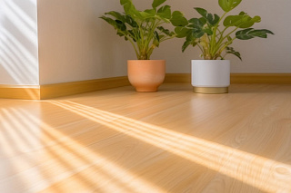 Новости, фото №12