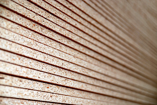 Новости, фото №12