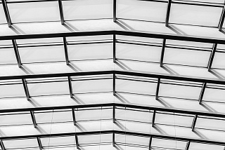 Новости, фото №8