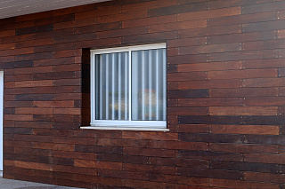 Новости, фото №12