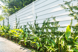 Новости, фото №12